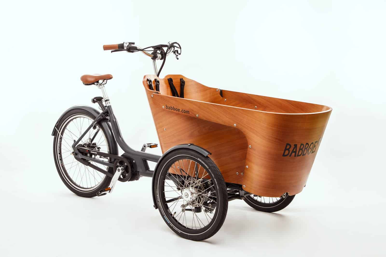 cargo-bike-carve-mountain-tricycle-9